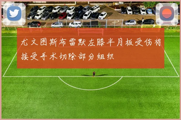 尤文图斯布雷默左膝半月板受伤将接受手术切除部分组织