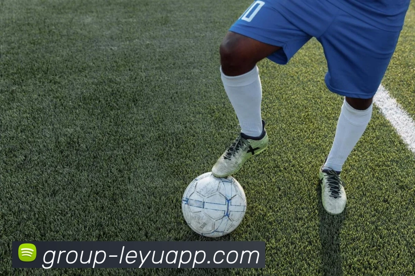 乐鱼体育服务体系