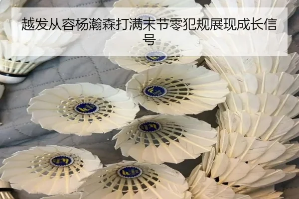 越发从容杨瀚森打满末节零犯规展现成长信号 - leyu.com